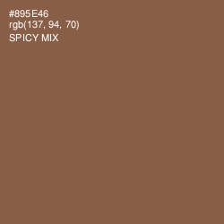 #895E46 - Spicy Mix Color Image